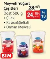 DOST MEYVELİ YOĞURT ÇEŞİTLERİ DOST MEYVELİ YOĞURT ÇEŞİTLERİ